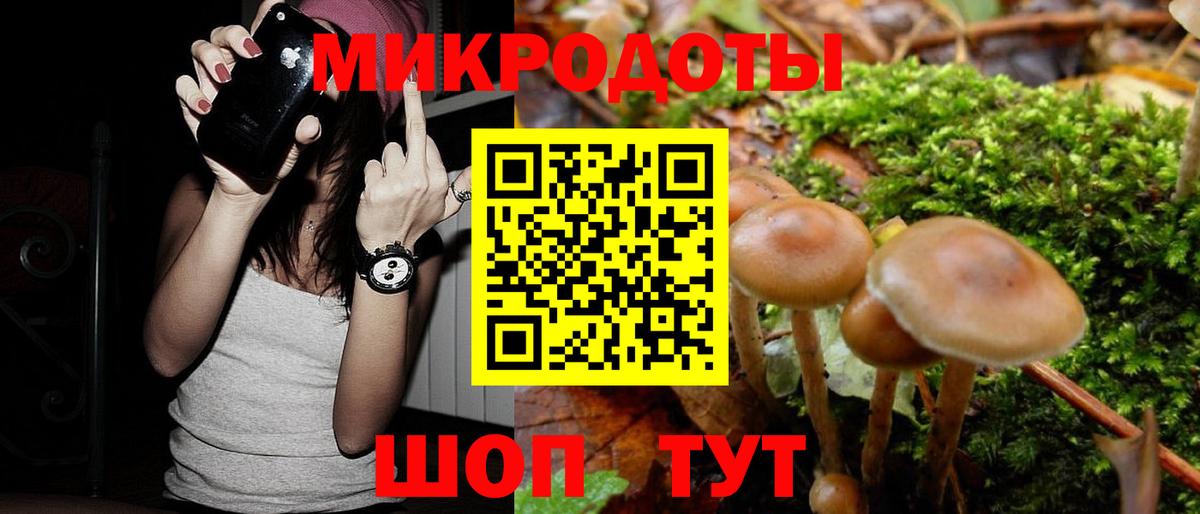 Галлюциногенные грибы Cubensis Будённовск