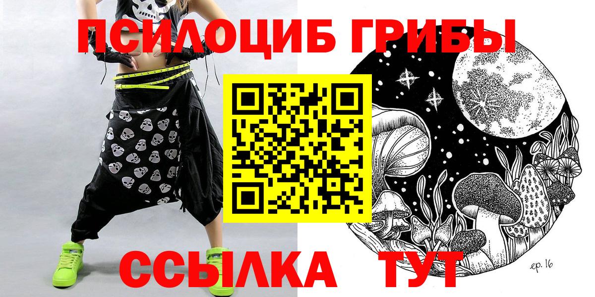 Псилоцибиновые грибы ЛСД  Вход с VPN  Галлюциногенные грибы Psilocybine cubensis  купить наркоту  Будённовск 