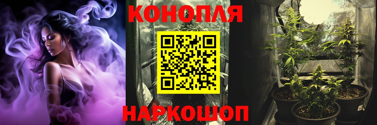 Марихуана гибрид Будённовск